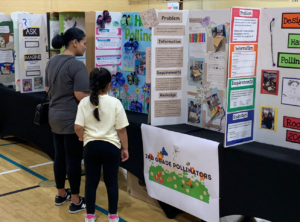 WNY Schools Hold Districtwide STEAM Fair