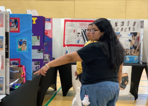 WNY Schools Hold Districtwide STEAM Fair