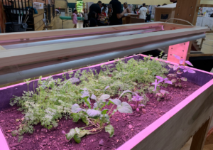 WNY Schools Hold Districtwide STEAM Fair