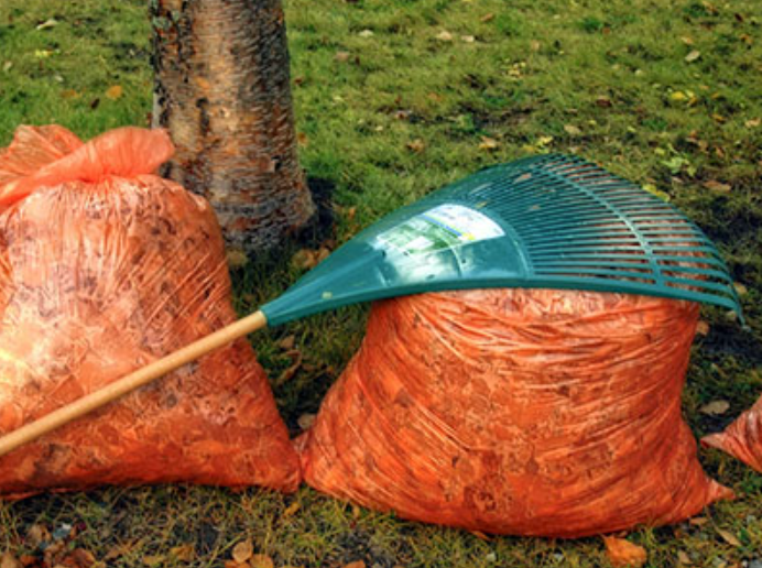 Reservations Required For Bayonne Leaf Recycling Pickups