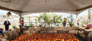 Hudson County Celebrates Halloween with Free Fall Festival for Families