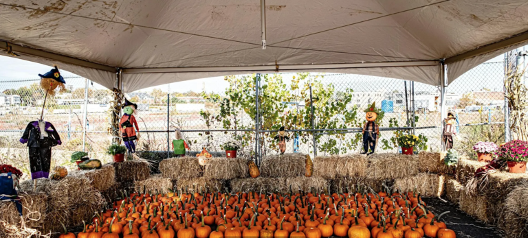 Hudson County Celebrates Halloween with Free Fall Festival for Families