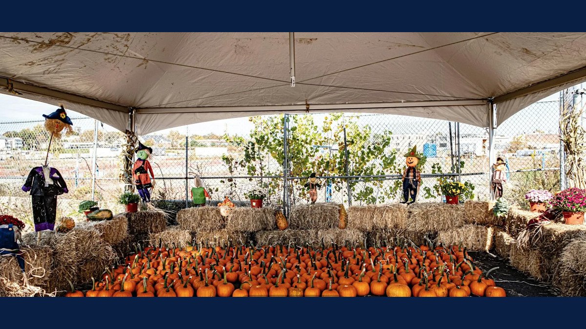 Hudson County Celebrates Halloween with Free Fall Festival for Families