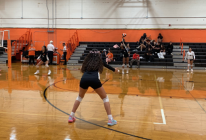 It Was Tigers vs. Tigers In Girls Volleyball In WNY On Wednesday